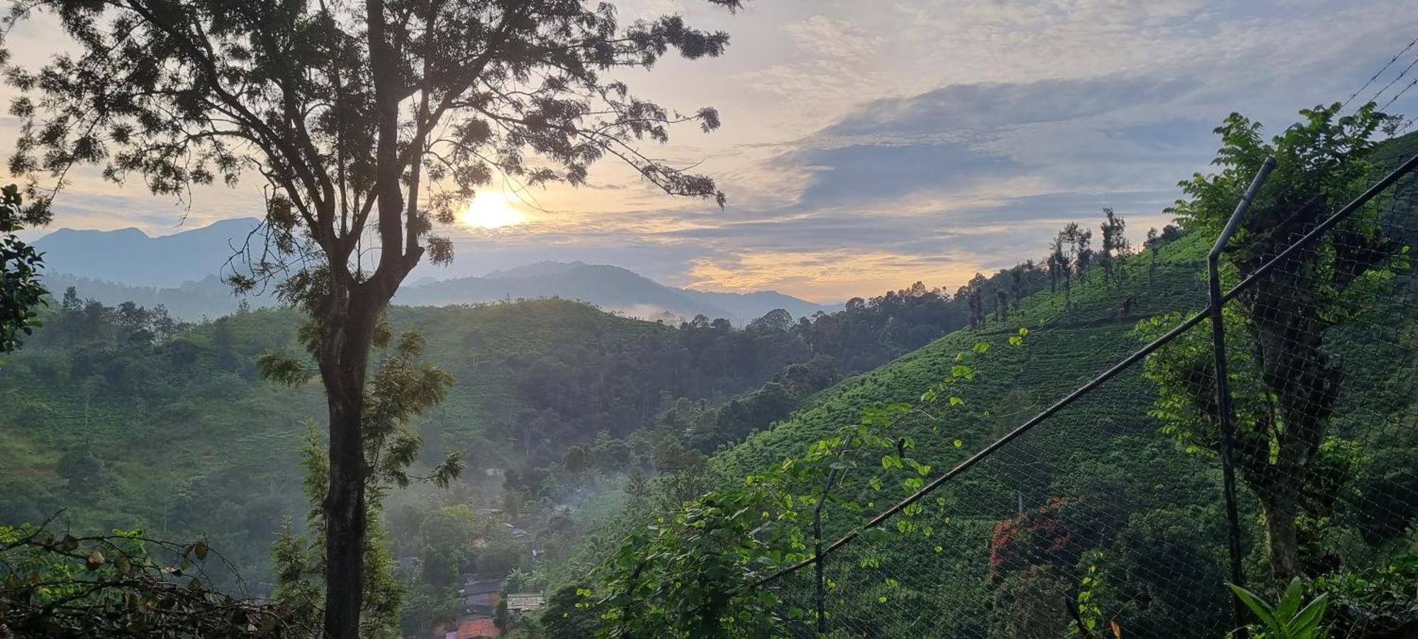 Sithara Estate Bungalow เอลลา ภายนอก รูปภาพ