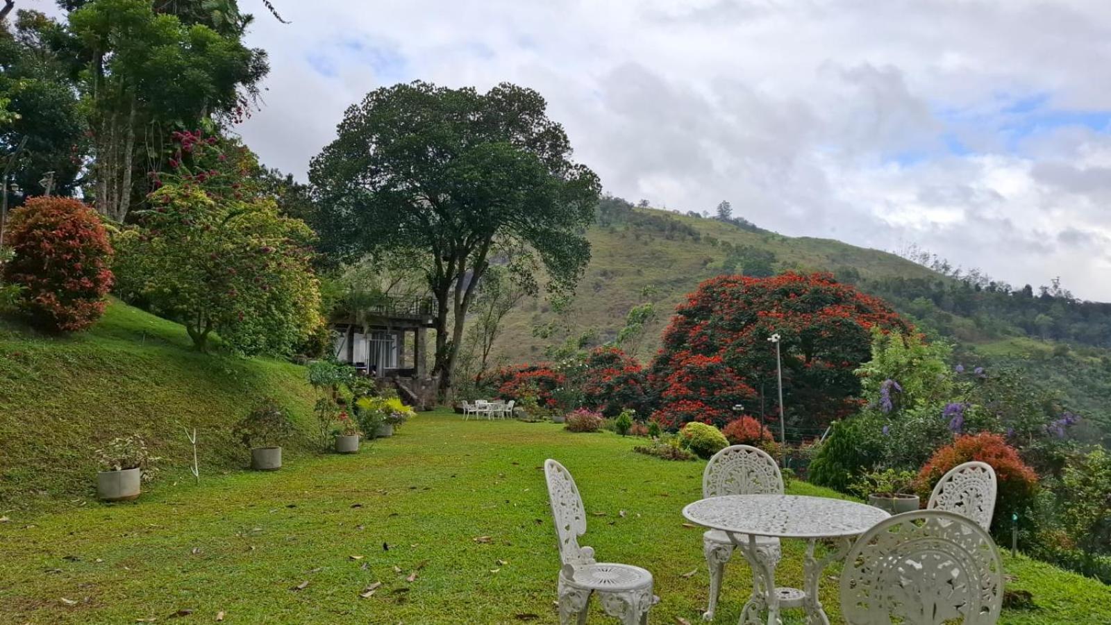 Sithara Estate Bungalow เอลลา ภายนอก รูปภาพ