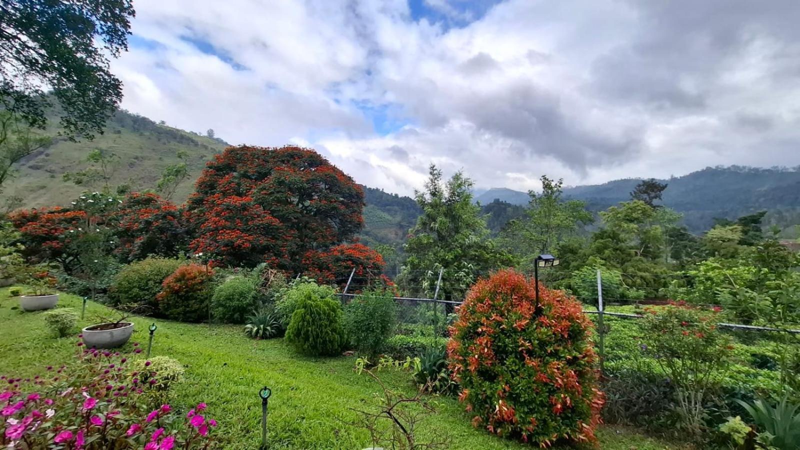 Sithara Estate Bungalow เอลลา ภายนอก รูปภาพ