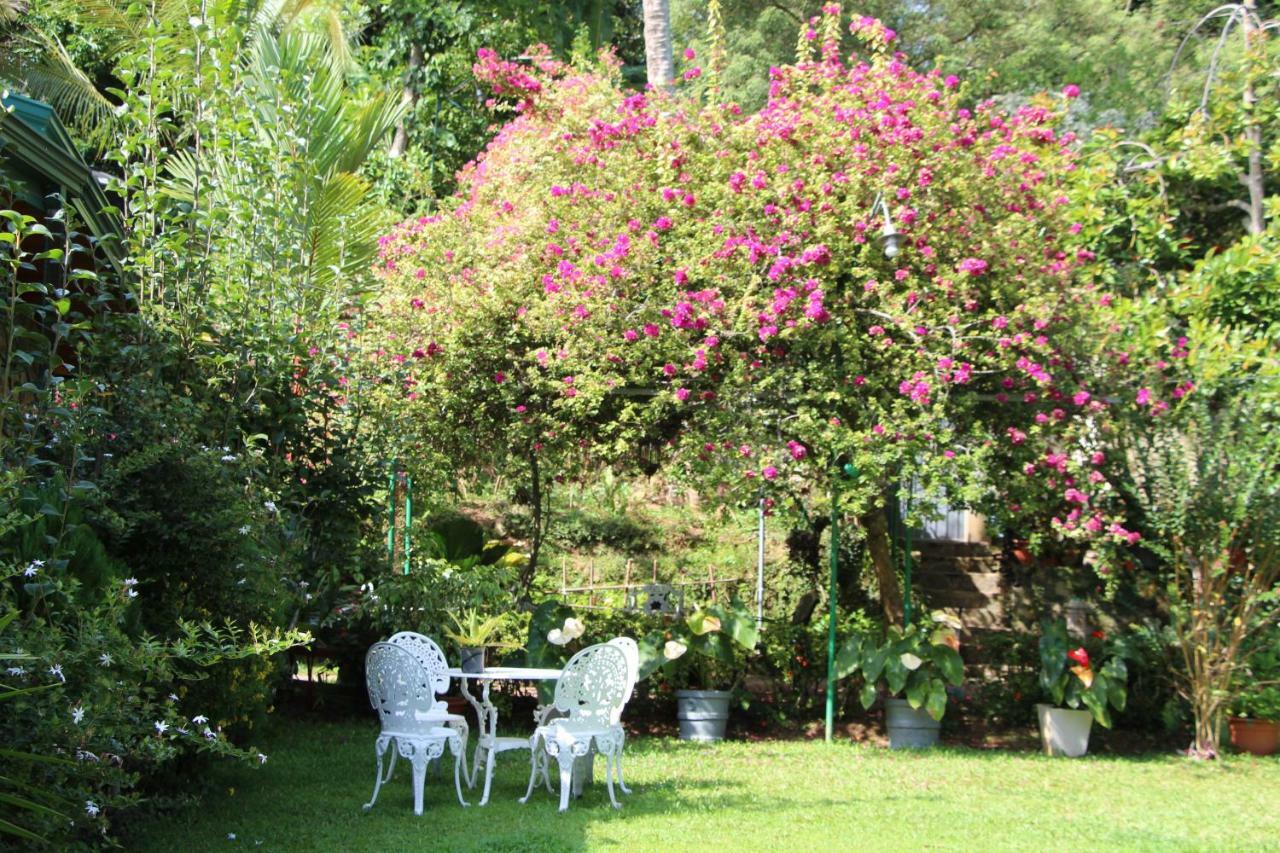 Sithara Estate Bungalow เอลลา ภายนอก รูปภาพ